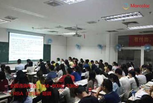 自貢RBA驗廠要求下的碳排放管理與信息技術咨詢服務